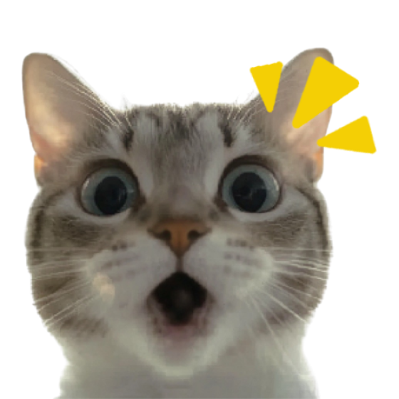 sdgsgsg
